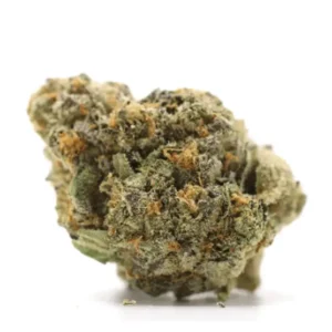 Green Karat PV Pavé S1