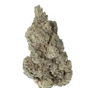 Vasco PR 21/1 Pave Runtz