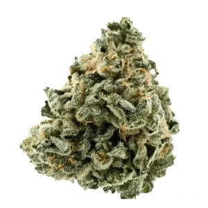 Demecan Core Moonbow 27/1 Moonbow 112 IX