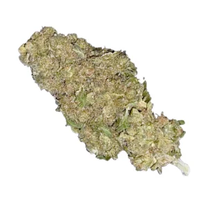 TRUU LX 27:01 GMO Cookies x Kush Mintz